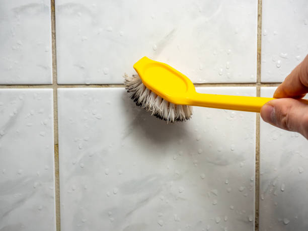 Best Mold Testing  in Ledgewood, NJ