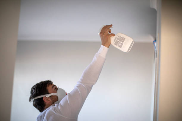 Best Fast Mold Removal  in Ledgewood, NJ