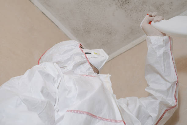 Best Professional Mold Removal  in Ledgewood, NJ
